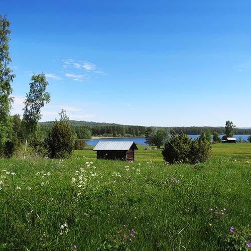 Vy över Alviken, betesängar och sjön.