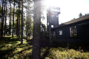 Utkikstornet i motljus en fin sommardag.
