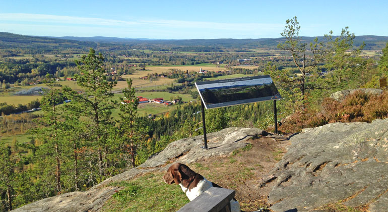 Vy från Djurmoklack över landskapet.