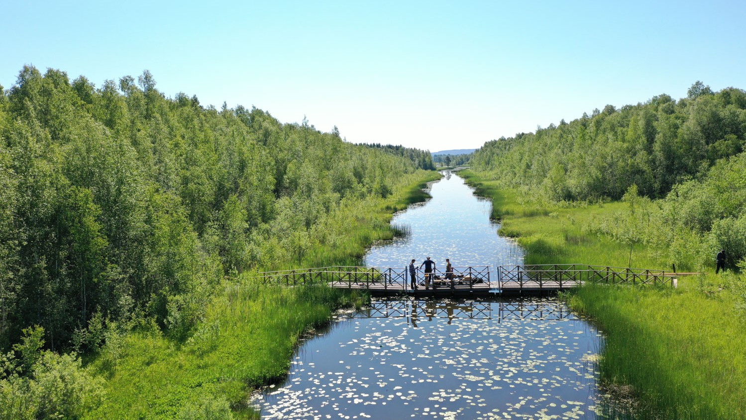 Tre personer står på en bro över älven i vasslandskapet i Holmsjöarnas naturreservat.