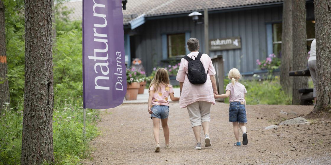 En äldre kvinna med två mindre barn i vardera hand, går uppför grusgången till den blå naturumbyggnaden.