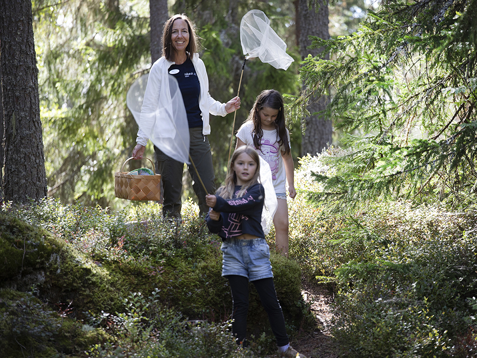Två flickor går i skogen med en naturvägledare och håller i fjärilshåvar.