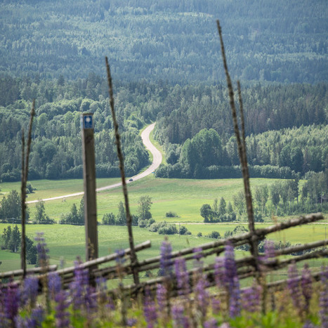 I förgrunden en gärdesgård och en liten blå naturreservatsbild, i bakgrunden bilvägen som slingrar sig genom åker och skog.