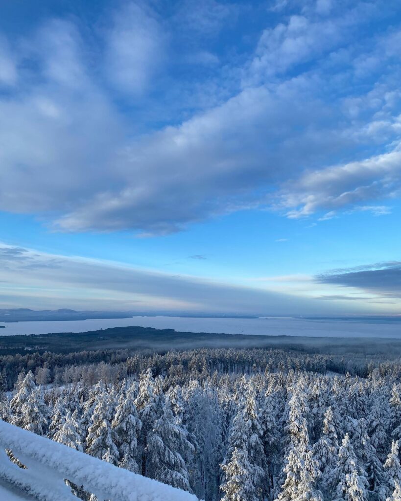 Vy från utsiktstornet med snöiga trädtoppar och klar himmel.